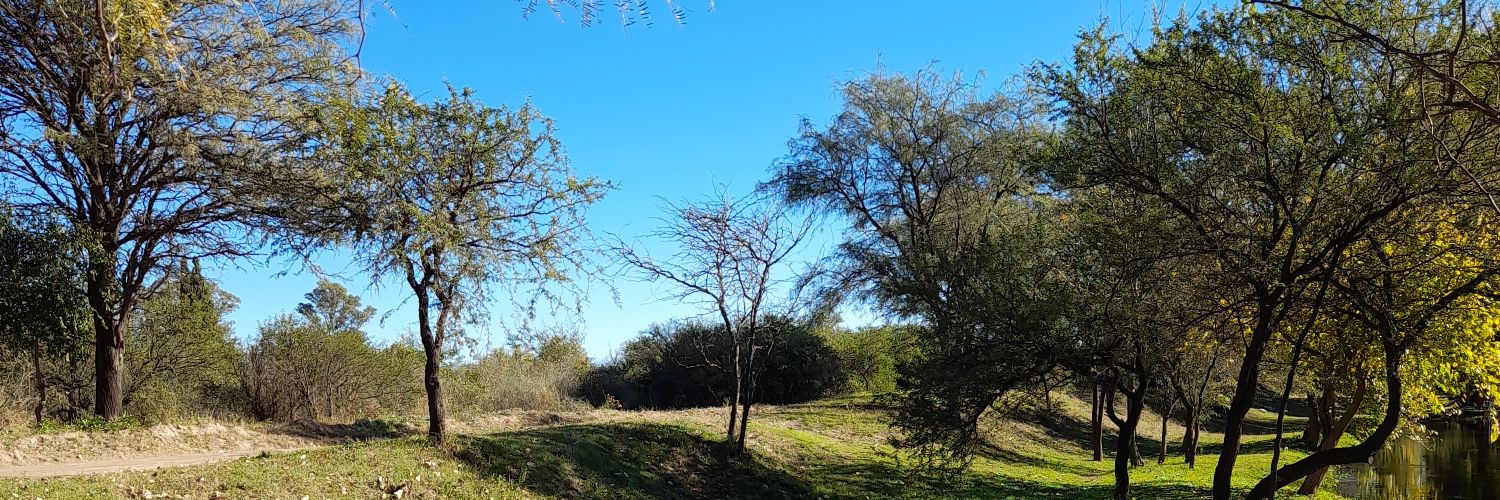 vickybaena's profile banner image