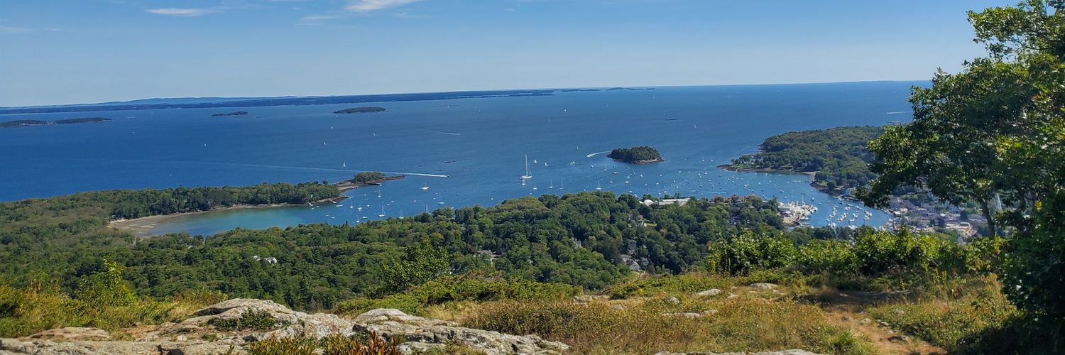 Full Abortion Rights *NOW* banner