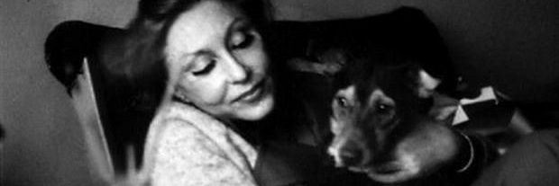 angryd಄­ce banner