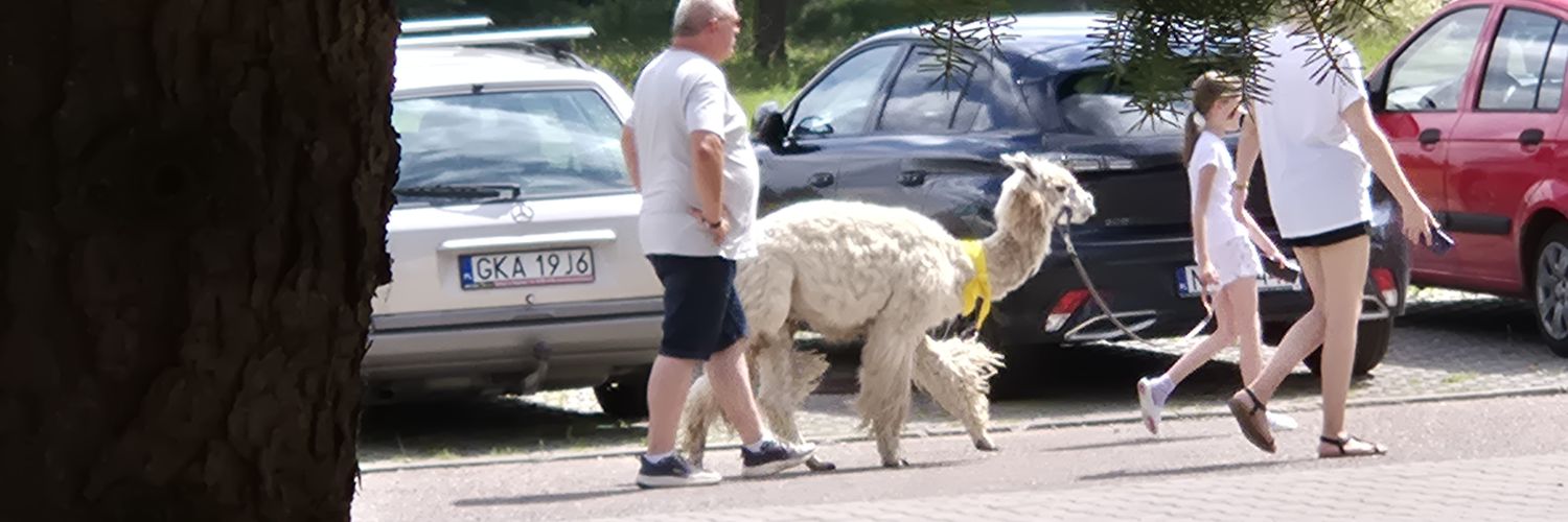Sławomir Borowiak banner