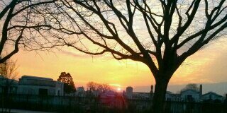 347319's profile banner image