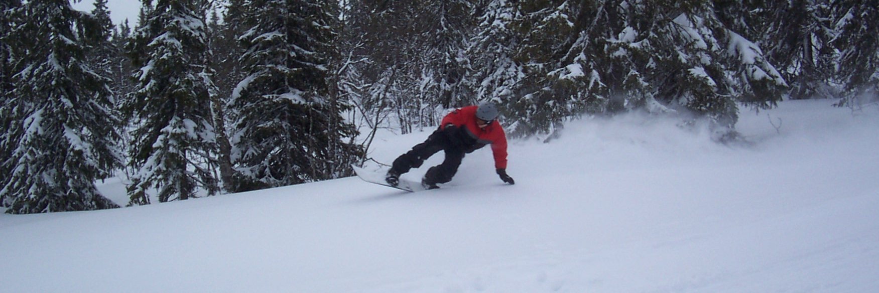 Daniel Norée banner