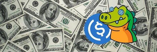USDCroge Profile Banner