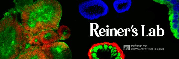 reiner_lab Profile Banner