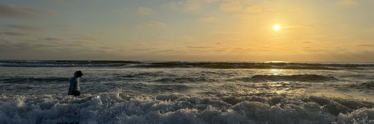 schlazor.bsky.social banner