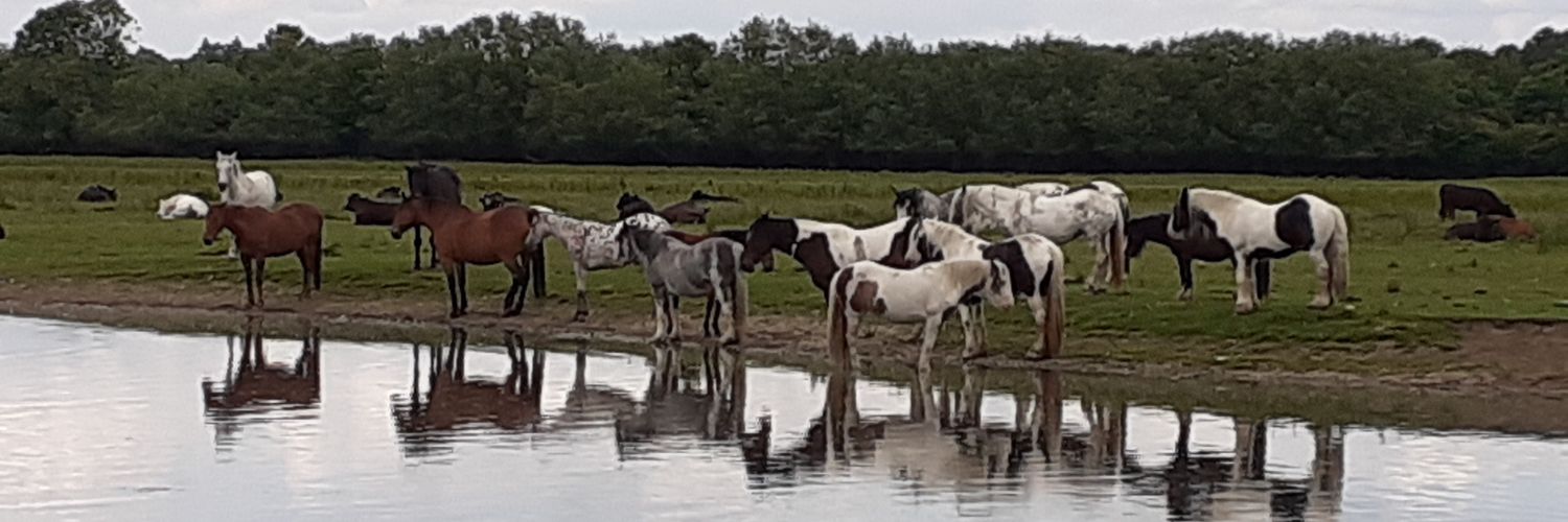 InTheTrenches banner