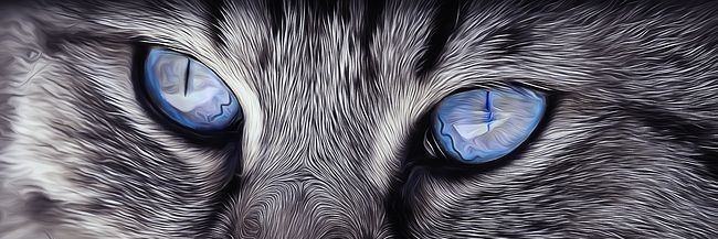 Urseyn's profile banner image