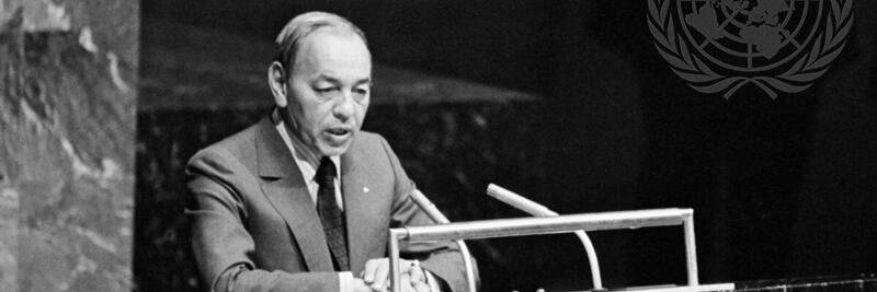 ۞Mojito 🍸 banner