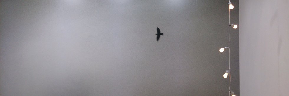 jacqlyy's profile banner image