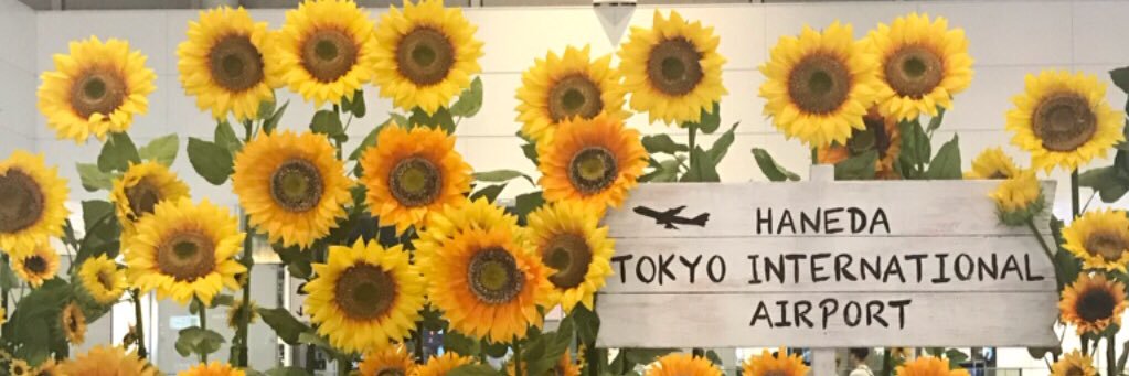 sweetsakura823's profile banner image