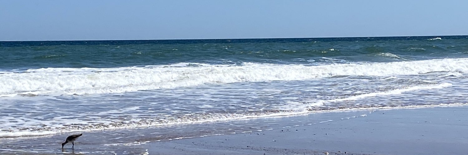 AmberlyMace's profile banner image