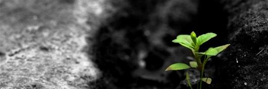 aksitserhat's profile banner image