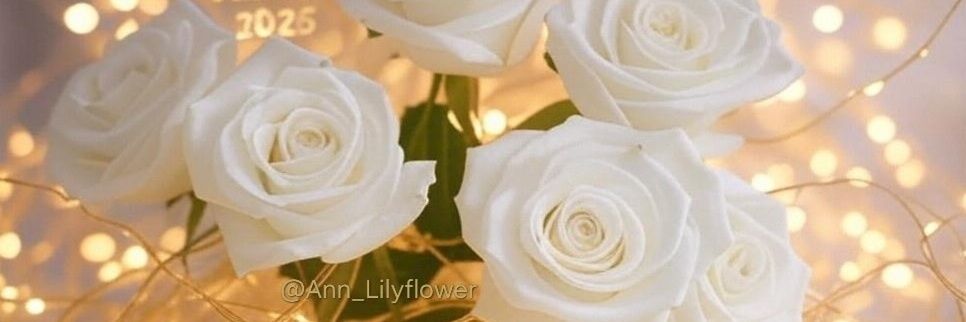 🕊 𝓐𝓷𝓷 𝓲𝓼 𝓡𝓲𝓰𝓱𝓽 🕊 𝐗𝐋𝐕's banner