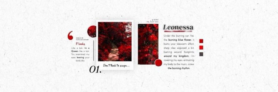 ᅟᅟ𝓡𝓊𝒷𝓎. banner