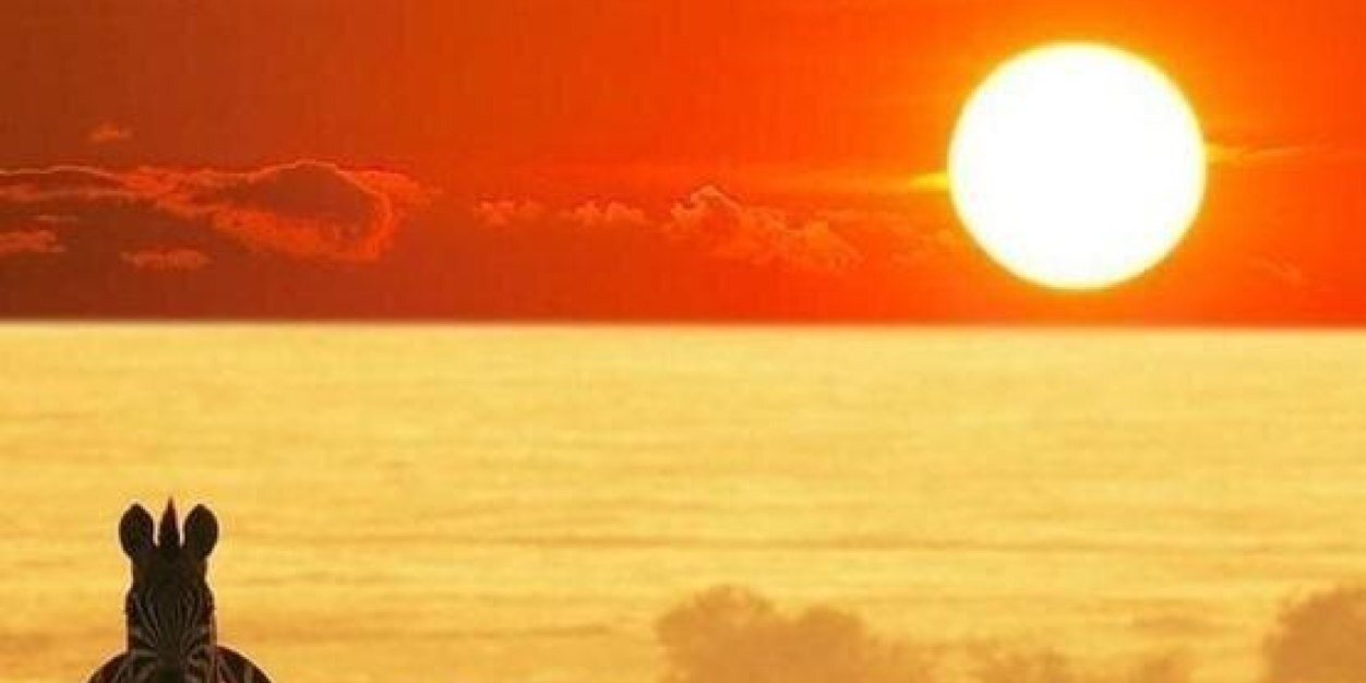 frances2305's profile banner image