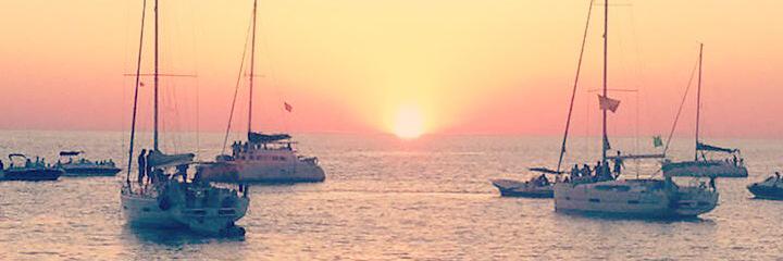 LauRa Devaney banner