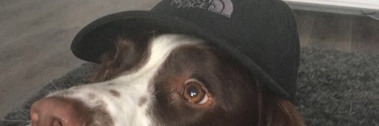 jackbrien's profile banner image