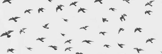 _tatajubs's profile banner image