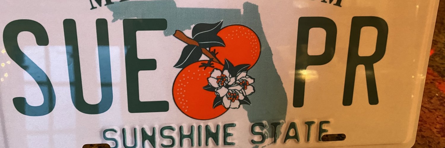 sueburness's profile banner image
