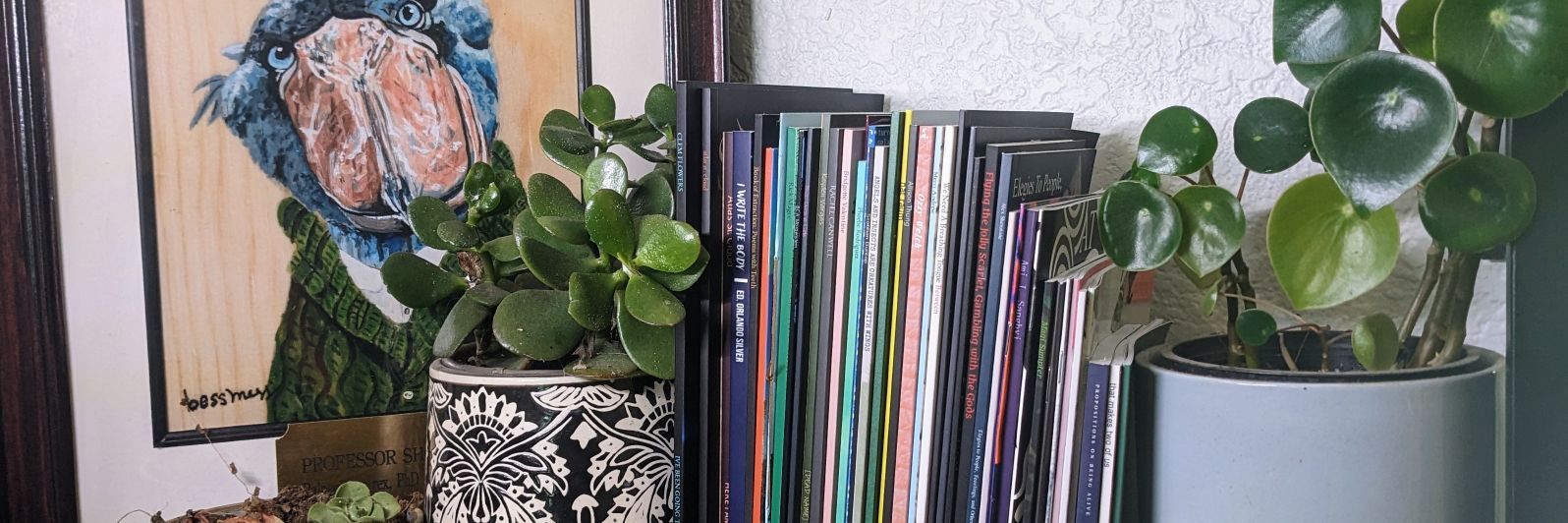 kith books's banner