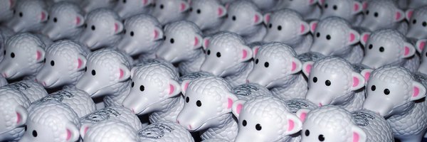 BerncoBernie Profile Banner