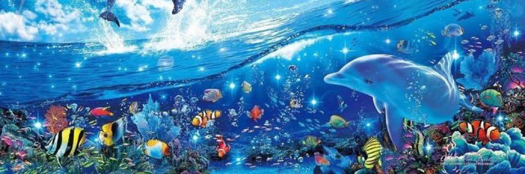 angie 🫧🐬's banner