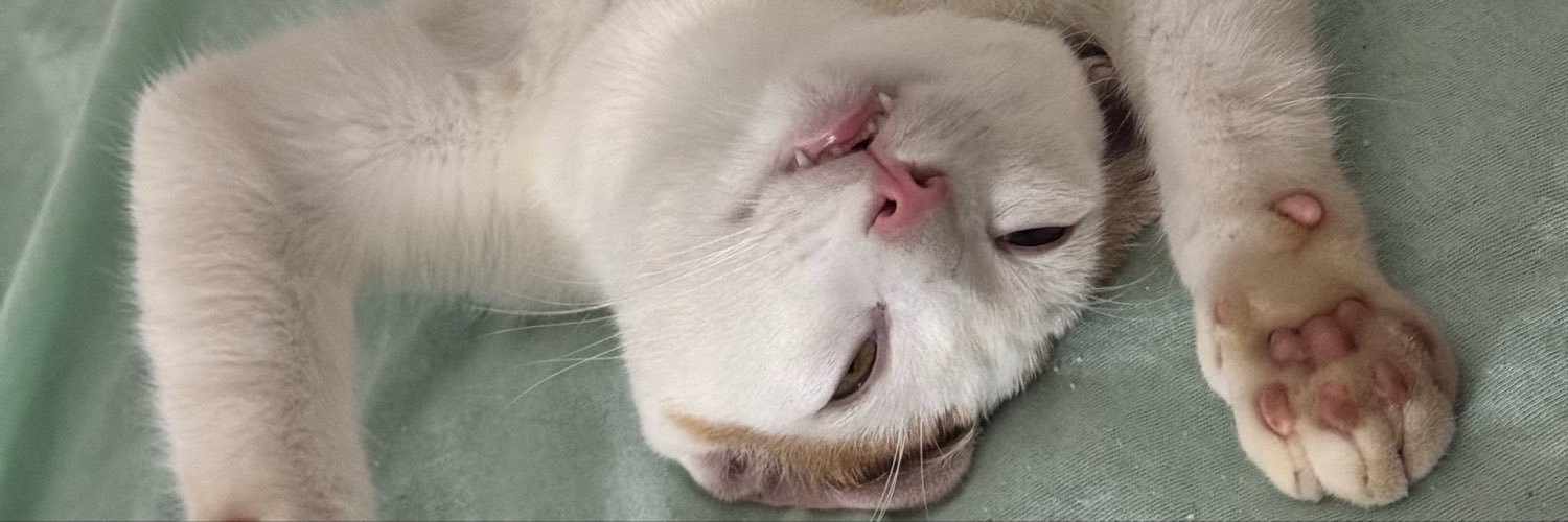 seraqueabritney's profile banner image