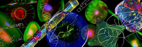 chrisbowler32 Profile Banner