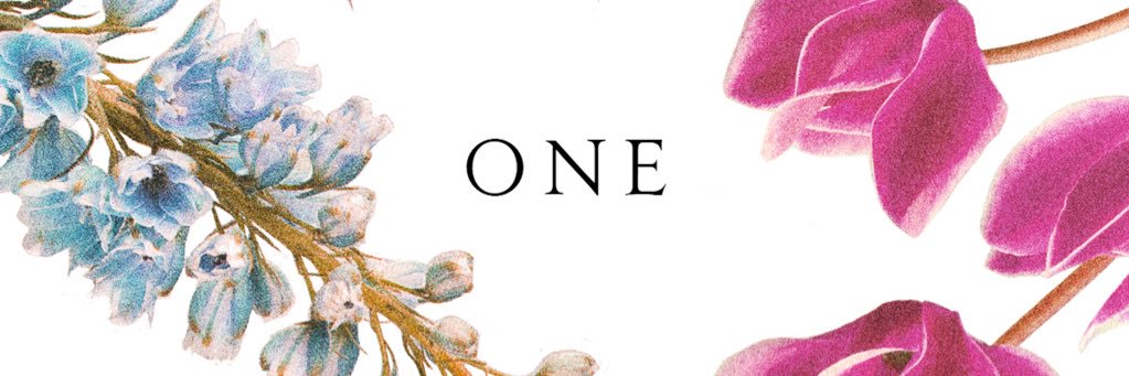 ONE MANAGEMENT banner