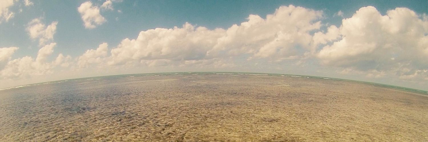 Leandro Ceruti banner