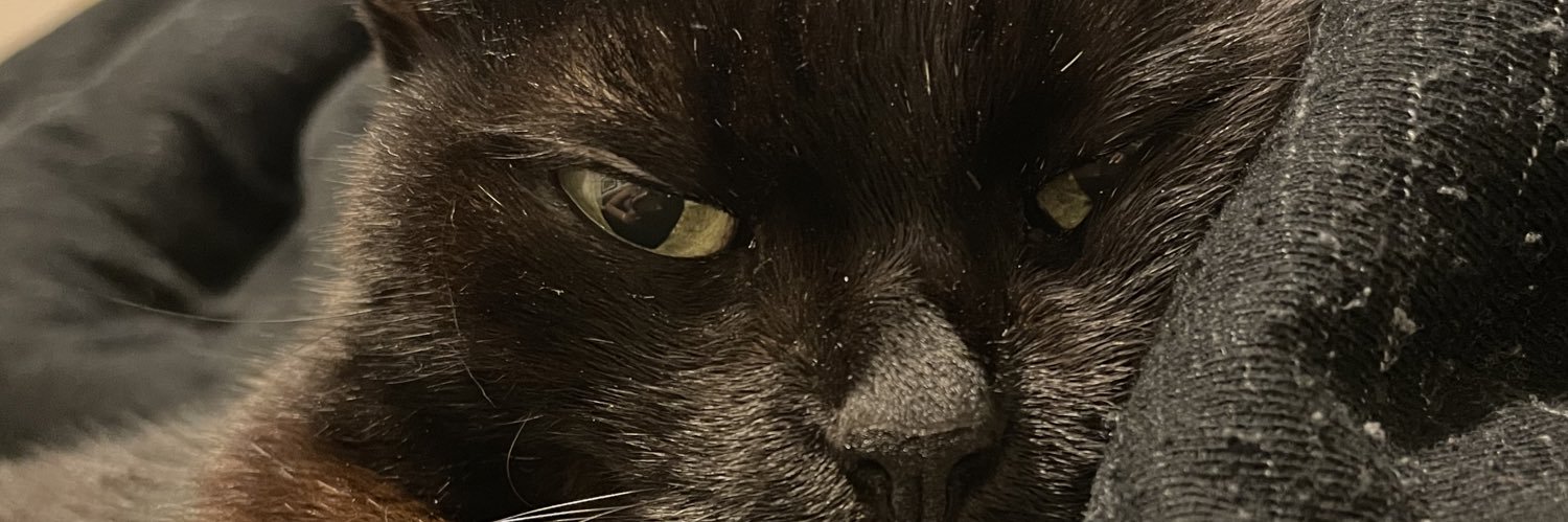 gabimarff's profile banner image