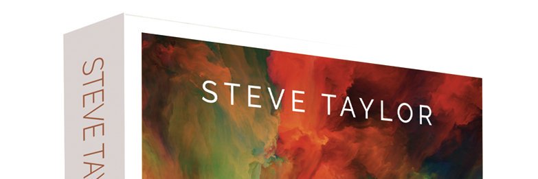 Steve Taylor's banner