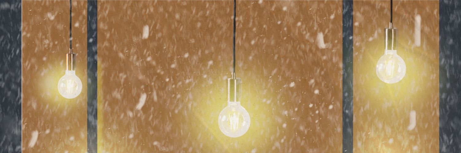 Memekarnika Memegaonkar banner