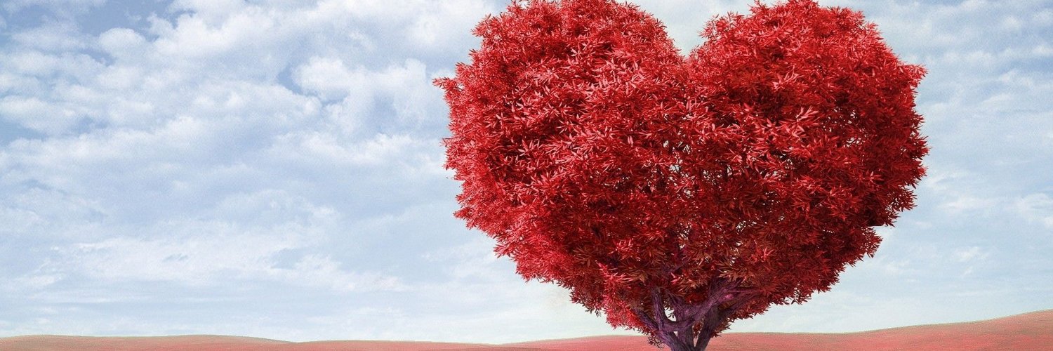BaileyK7912's profile banner image