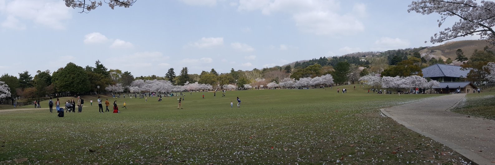 somworld1976's profile banner image