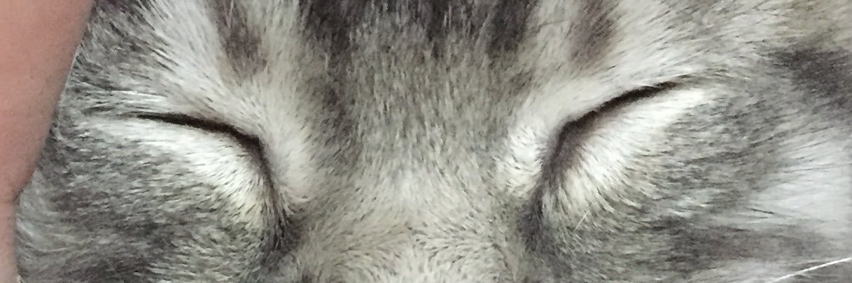 bellafaziraa's profile banner image