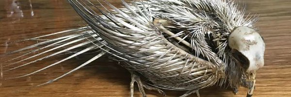 SunFl0werii Profile Banner