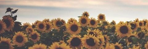 catchabhinav's profile banner image