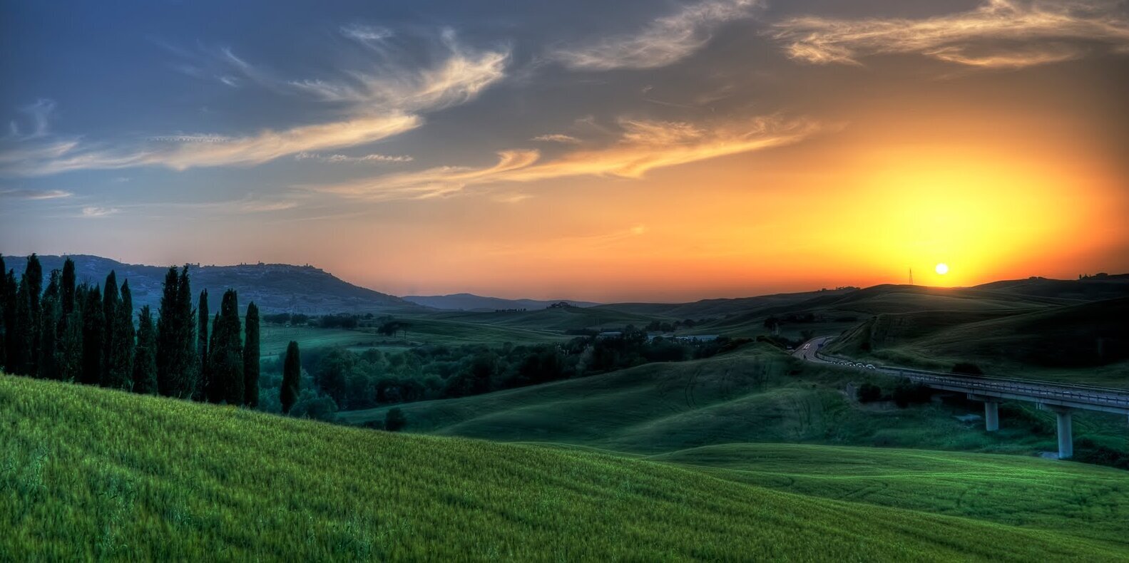 agrocolo's profile banner image