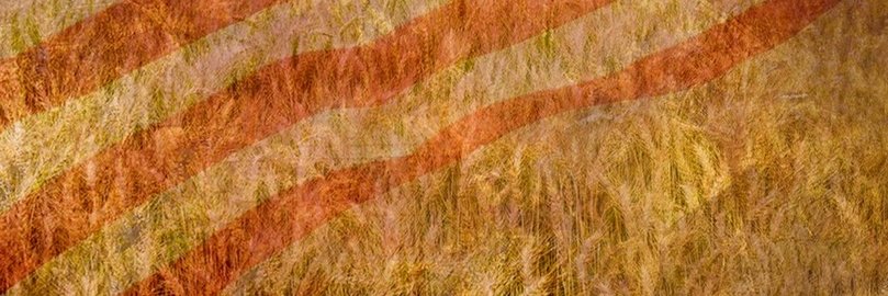 Mazz banner