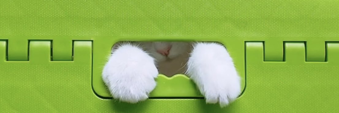 okradayooo's profile banner image