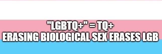 5280BasedHomo's banner