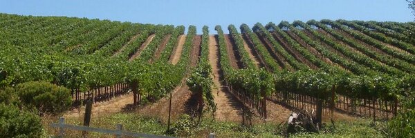 VinoMike Profile Banner