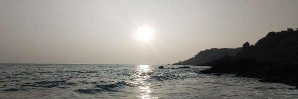 bayesian_walker Profile Banner