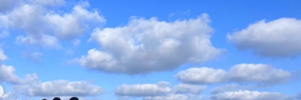 well_yes44's profile banner image
