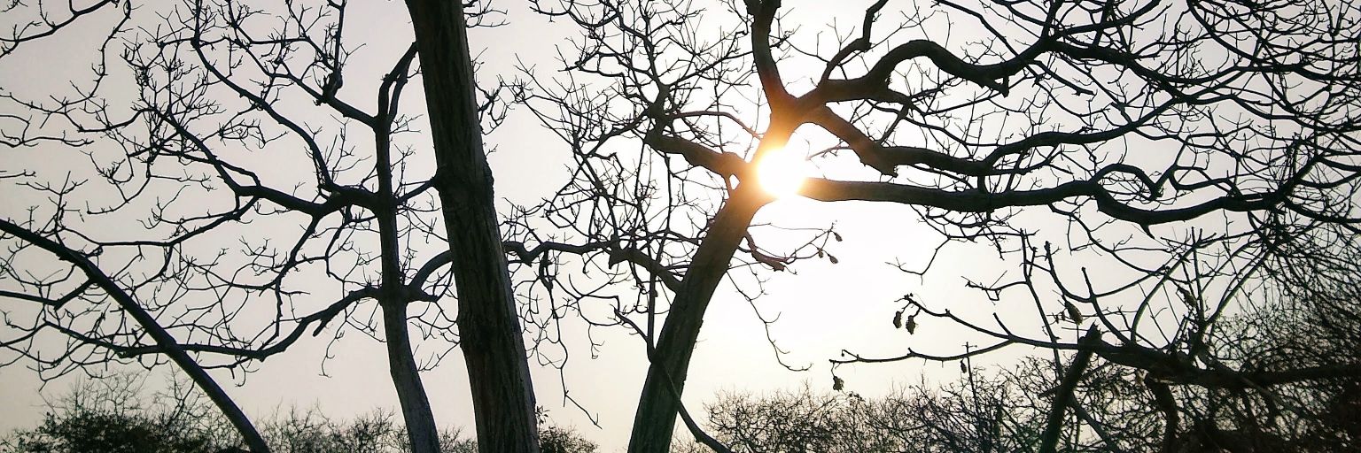 rafikneme's profile banner image