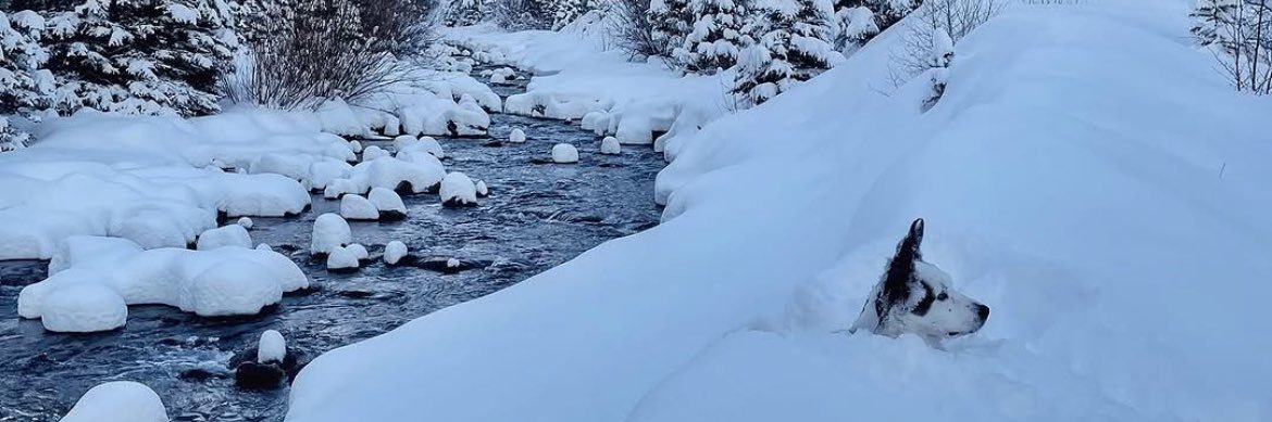 L3cski9's profile banner image