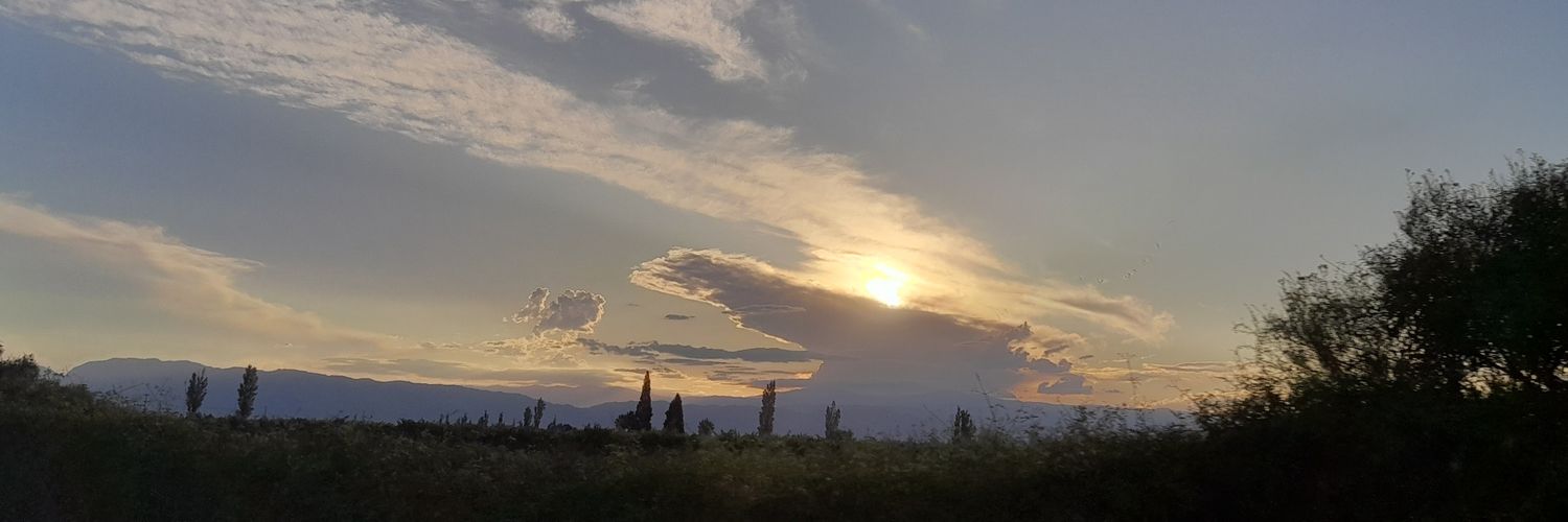 piafferrer's profile banner image