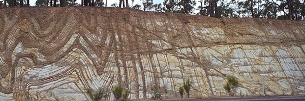 rockgecko_dev Profile Banner