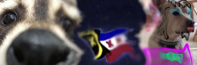 dontbotherme44's profile banner image